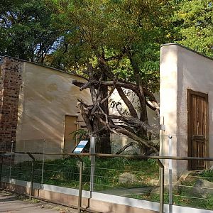 Tree kangaroo enclosures