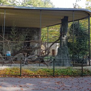 Binturong enclosure