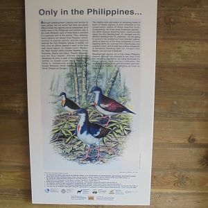 Conservation poster. Series of 4 featuring artwork by WLR.Oliver.