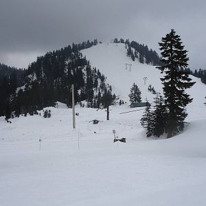 Grizzly Bear Habitat