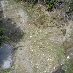 Grey Wolves from Skyride