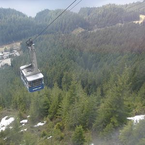 Skyride / Arial Tram
