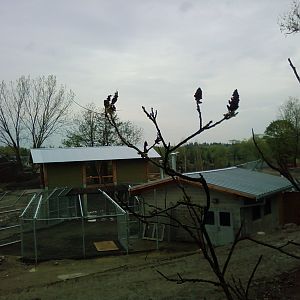 Tundra Trek Progress