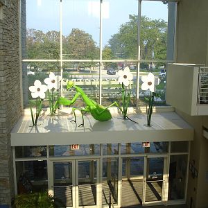 Praying Mantis Sculpture