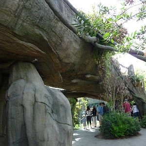 Jaguar Exhibit - Viewing Window
