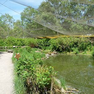 Walk-Through Waterfowl Aviary