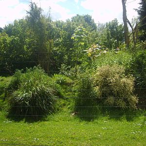 Lemur Outdoor Enclosure