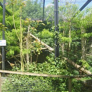 Linton Zoo Leopard Enclosure