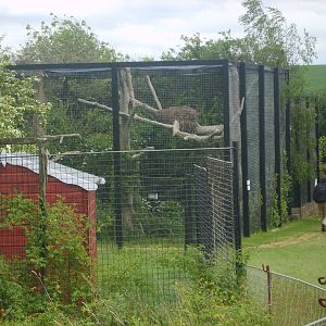 Linton Zoo Waterbirds Aviary