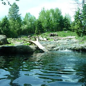 # 1 Grizzly Bear Exhibit in North America?