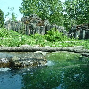 River Otter + Mountain Goat Exhibits