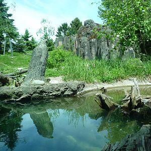 River Otter + Mountain Goat Exhibits