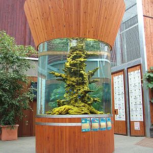 Marine tank in Orang-Utan Forest at Colchester 09/05/09