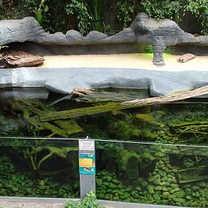 Turtle and Barb exhibit at Colchester 09/05/09