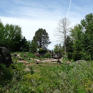 # 1 Grizzly Bear Exhibit in North America?