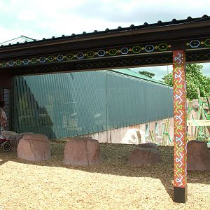 Orang-Utan viewing area at Colchester 09/05/09