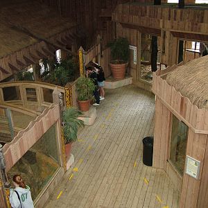 Spirit of Africa lower area at Colchester 09/05/09