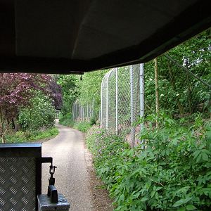 Jackal viewing at Colchester 09/05/09