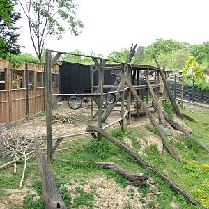 Gelada enclosure at Colchester 09/05/09