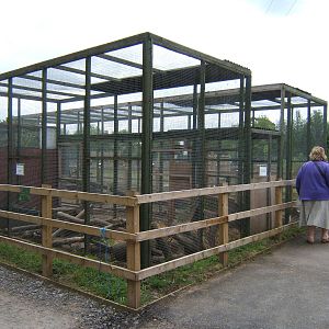 European Otter Enclosure