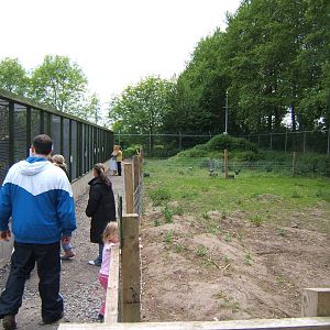 Bird Aviarys plus land not yey used except for housing a few hens on.