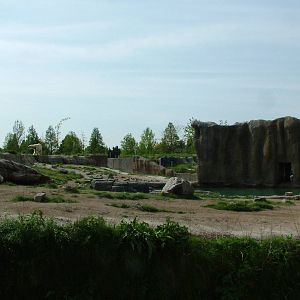 Polar Bear enclosure at Rotterdam 10/05/09
