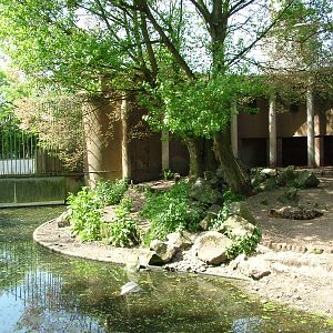 Spotted Hyaena enclosure at Rotterdam 10/05/09