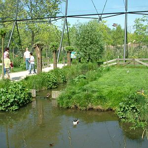 Dutch Meadow aviary at Rotterdam 10/05/09