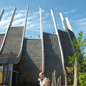 New Giraffe House at Rotterdam 10/05/09