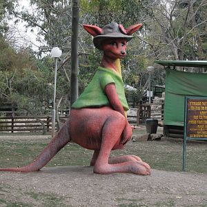 kangaroo