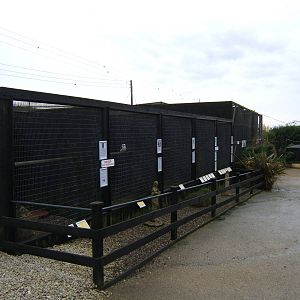 View of part of the Aviarys