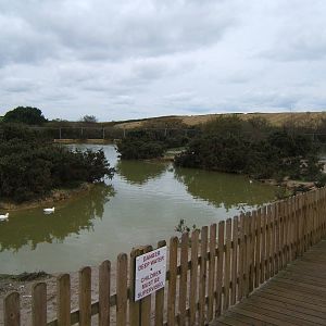 View of Waterfowl enclosure