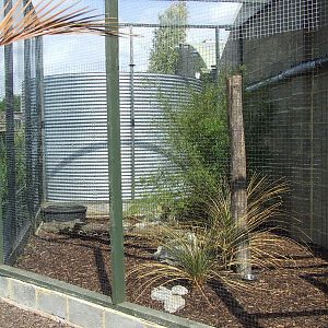 Fishing Cat enclosure (cage), Rare Species Conservation Centre, Sandwich