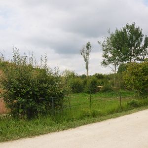 Striped Hyaena Enclosure at Haute-Touche, 14/06/18