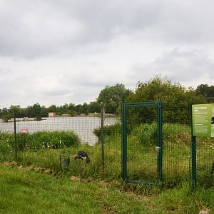 Lakeside Crane Enclosure at Haute-Touche, 14/06/18