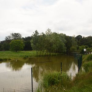 Lakeside Bird and Lechwe Enclosure at Haute-Touche, 14/06/18
