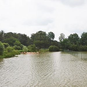 Lakeside Bird and Lechwe Enclosure at Haute-Touche, 14/06/18