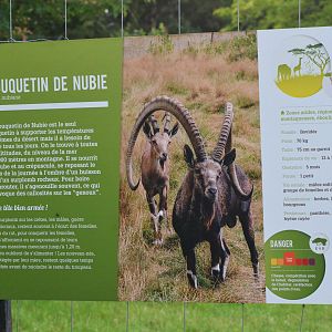 Signage Example (Nubian Ibex) at Haute-Touche, 14/06/18