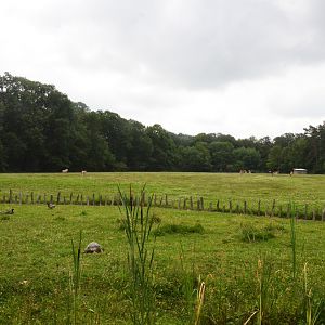Tortoise, Beisa Oryx and Kafue Lechwe Enclosures at Haute-Touche, 14/06/18