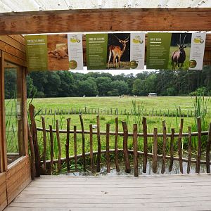 Tortoise and Antelope Viewing at Haute-Touche, 14/06/18