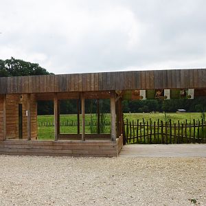 Tortoise and Antelope Viewing at Haute-Touche, 14/06/18