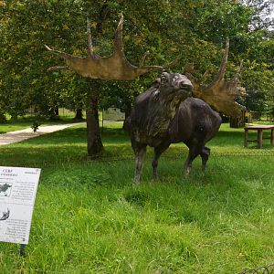 Megaceros Statue at Haute-Touche, 14/06/18