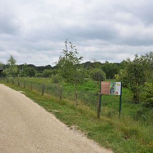 Red-necked Wallaby Enclosure at Haute-Touche, 14/06/18