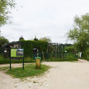 Lemur House at Haute-Touche, 14/06/18