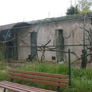 Lemur House at Haute-Touche, 14/06/18