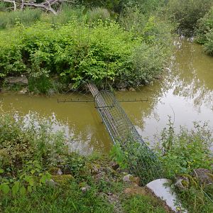 Lemur Island Access from Central House at Haute-Touche, 14/06/18