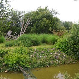 Black Lemur Island at Haute-Touche, 14/06/18