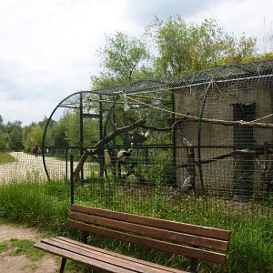 Lemur House at Haute-Touche, 14/06/18