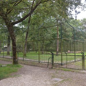 Sumatran Tiger Enclosure at Haute-Touche, 14/06/18