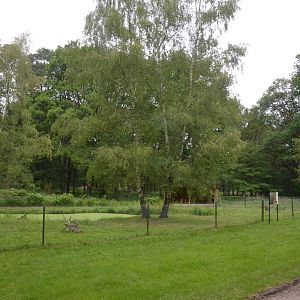 Capybara Enclosure at Haute-Touche, 14/06/18